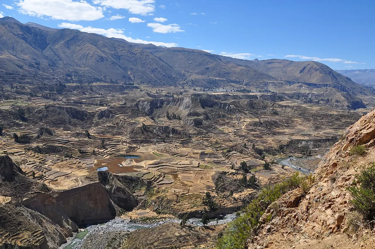 River and agricultural terraces in the Colca Canyon